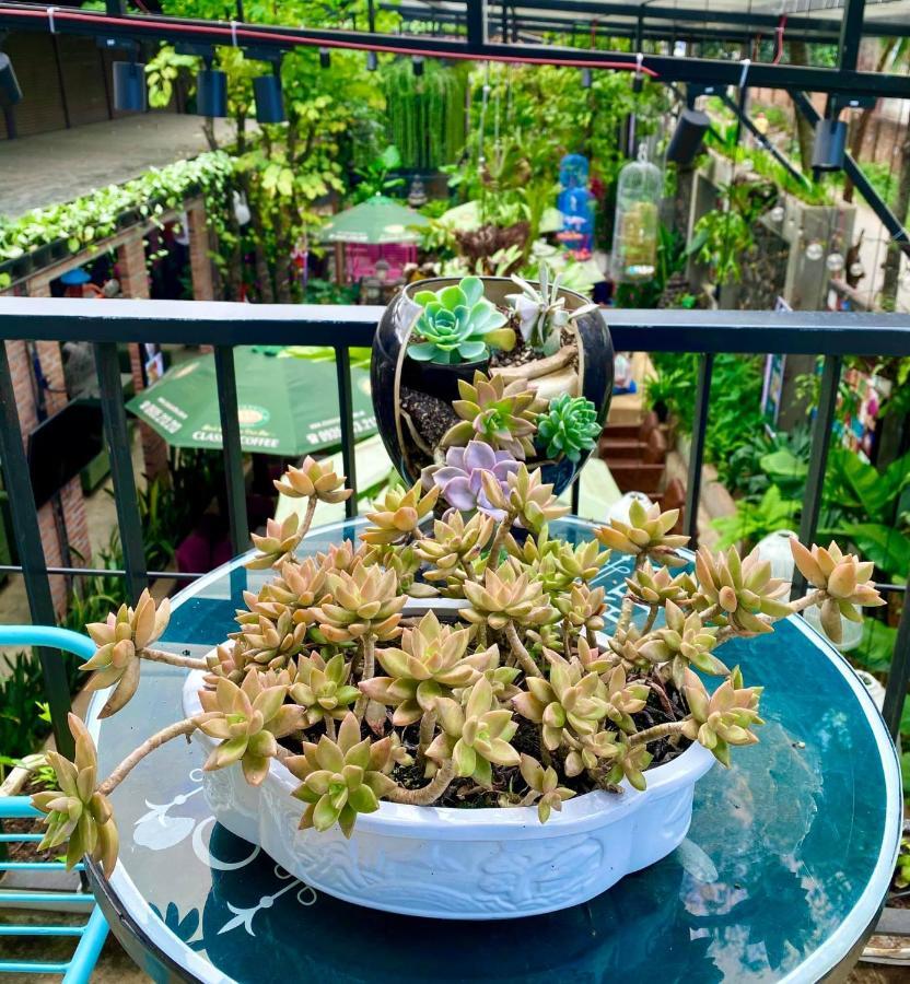 Jrai Homestay 플레이쿠 외부 사진